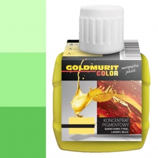 Malowanie Pigment P17 trawiasty 80ml