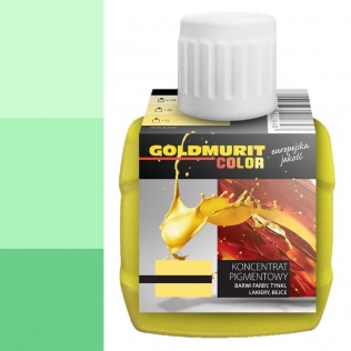 Malowanie Pigment P16 zielony 80ml