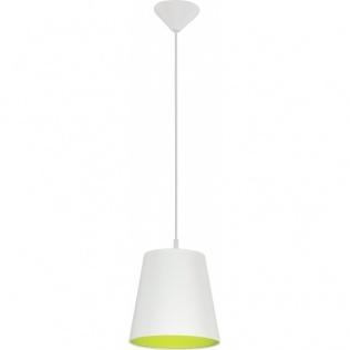 Elektryka i elektronika  Lampa sufitowa Tk Lighting Artos Green 1691